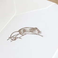 Cottontails Baby Cards*Cottontails handmade card - field mouse