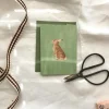 Cottontails Baby Cards | Bunny Cards & Stationery*Petite bunny card - green