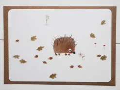 Cottontails Baby Cards*Postcard & Envelope - Little Hedgehog