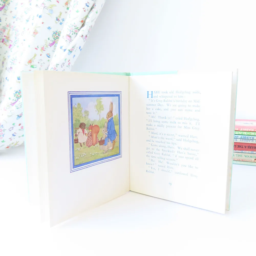 Cottontails Baby Vintage | Vintage Bunnies*VINTAGE book - Little Grey Rabbit's Birthday (1971)