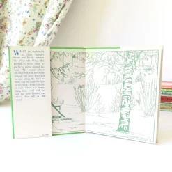 Cottontails Baby Vintage | Vintage Bunnies*VINTAGE book - Water-Rat's Picnic (1969)