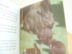 Cottontails Baby Vintage*VINTAGE Ladybird - Book of Pets (1967)