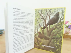 Cottontails Baby Vintage*VINTAGE Ladybird book - Birds and How They Live (1969)