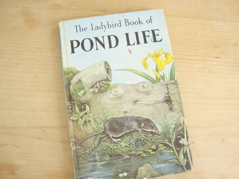 Cottontails Baby Vintage*VINTAGE Ladybird book - Pond Life (1966)