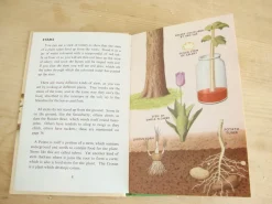 Cottontails Baby Vintage*VINTAGE Ladybird book - Plants and how they Grow (c. 1971)