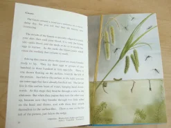 Cottontails Baby Vintage*VINTAGE Ladybird book - Pond Life (1966)