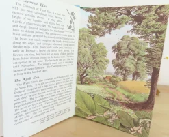 Cottontails Baby Vintage*VINTAGE Ladybird book - Trees (1970s)
