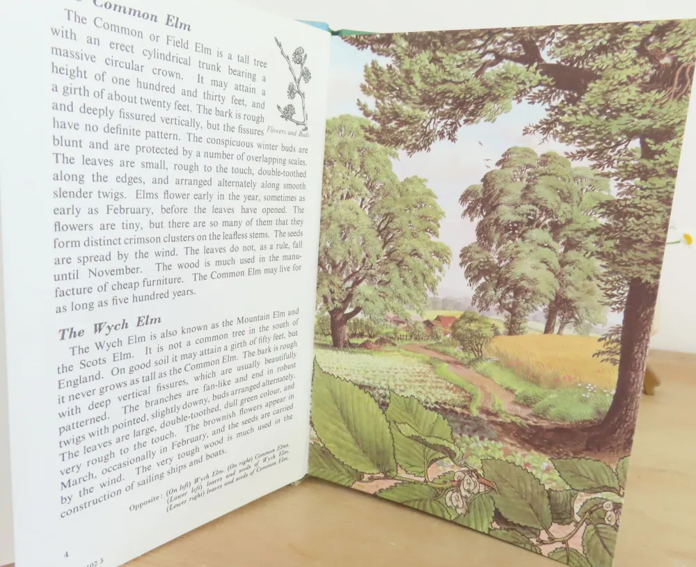 Cottontails Baby Vintage*VINTAGE Ladybird book - Trees (1970s)