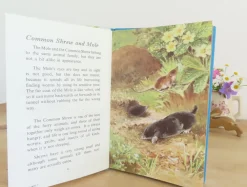 Cottontails Baby Vintage*VINTAGE Ladybird book - British Wild Animals (1971)