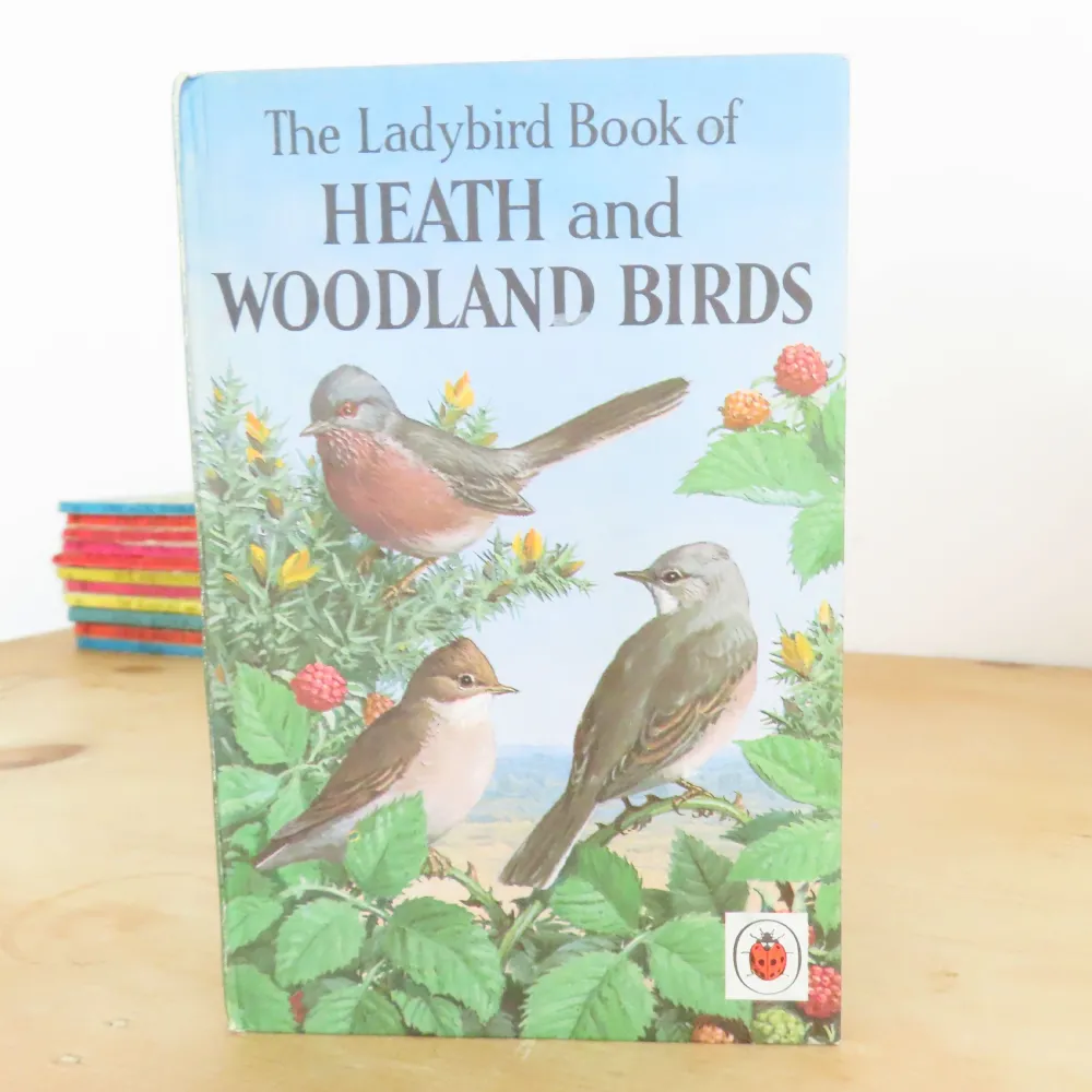 Cottontails Baby Vintage*VINTAGE Ladybird book of Heath and Woodland Birds (1971)