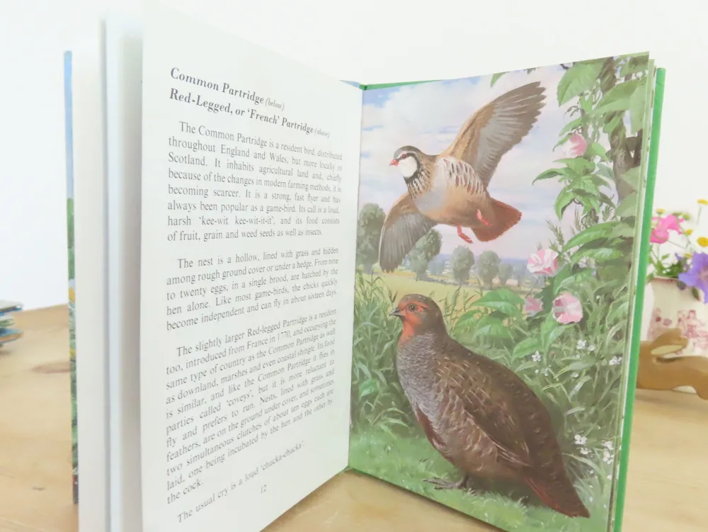 Cottontails Baby Vintage*VINTAGE Ladybird book of Heath and Woodland Birds (1971)